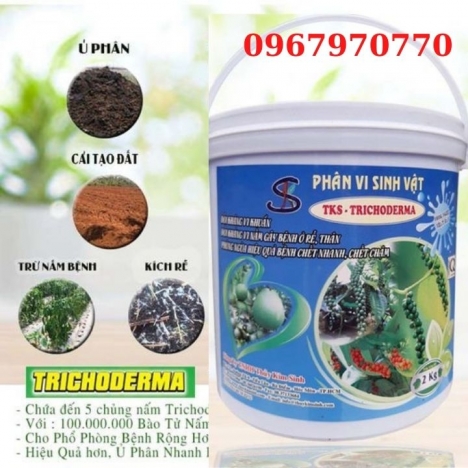 Phân vi Sinh Vật - TKSTRICHODERMA -Đối Kháng Vi Khuẩn - xô 2Kg