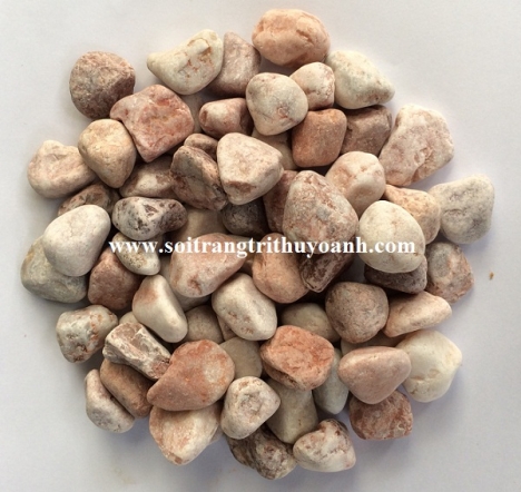 Sỏi trang trí tiểu cảnh sân vườn tại Cần Thơ