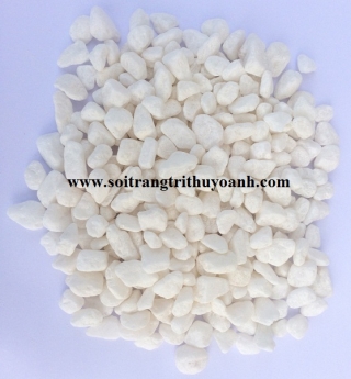 Sỏi trang trí tiểu cảnh sân vườn tại Cần Thơ