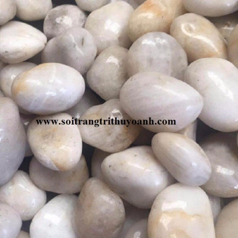 Sỏi trang trí tiểu cảnh sân vườn tại Cần Thơ