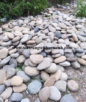 Sỏi trang trí tiểu cảnh sân vườn tại Cần Thơ