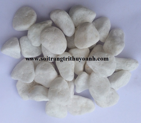 Sỏi trang trí tiểu cảnh sân vườn tại Cần Thơ