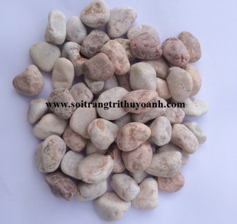 Sỏi trang trí tiểu cảnh sân vườn tại Cần Thơ