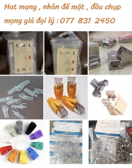 Phân phối thiếtt bị mạng - viên thông Commscope AMP giá rẻ