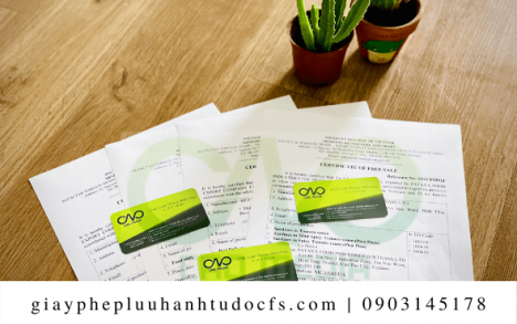 Giấy chứng nhận lưu hành tự do cho thạch dừa