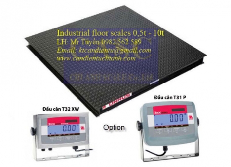 Cân sàn điện tử FS-T31P Ohaus - Cân điện tử Chi Anh