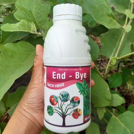 ENDBYE: TRỪ KHẢM LÁ DO VIRUS - Chai 500ml