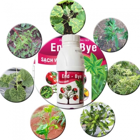 ENDBYE: TRỪ KHẢM LÁ DO VIRUS - Chai 500ml