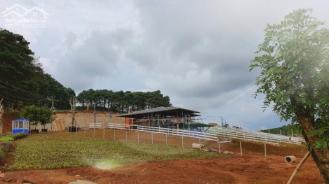 Em cần bán 20x40m đất mặt tiền đường Nguyễn Viết Xuân, Bảo Lộc giá chỉ 180tr/m.