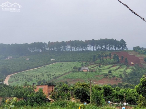 BỎ PHỐ VỀ RỪNG - Đất nghỉ dưỡng view đẹp thổ cư sổ riêng 400m2 ( thị trấn Nam Ban, Lâm Hà )