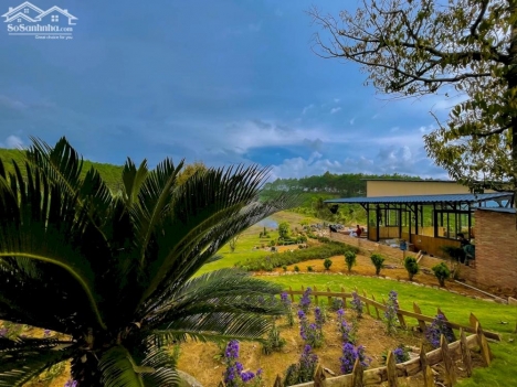 BỎ PHỐ VỀ RỪNG - Đất nghỉ dưỡng view đẹp thổ cư sổ riêng 400m2 ( thị trấn Nam Ban, Lâm Hà )