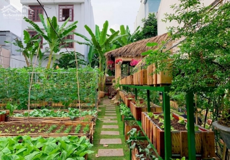 Bán 2 ngàn m2 đất làm nhà kính trồng rau, điện nước tưới đầy đủ, đường 5m xe tải vào tận nơi