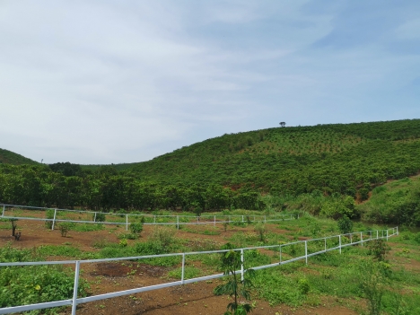 Bán Đất Nền Biệt Thự Homestay, Nghỉ Dưỡng 148M2 Giá 810Tr