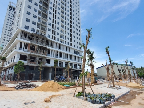 Căn hộ xanh Ecolife Riverside bảng hàng T7/2021 lh 0978657589