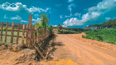 Đất nghỉ dưỡng view đẹp ven Đà Lạt chỉ 420tr sẵn sổ riêng - Đơn Dương, Lâm Đồng