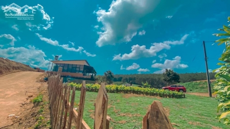 Đất nghỉ dưỡng view đẹp ven Đà Lạt chỉ 420tr sẵn sổ riêng - Đơn Dương, Lâm Đồng