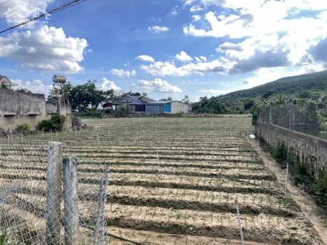 Bán lô đất 11x26m sau chợ Phi Nôm- Hiệp Thạnh- Đức Trọng giá 2 tỷ 2