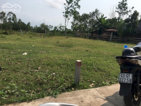 Bán đất Điện Bàn đường bê tông 5m giá đầu tư