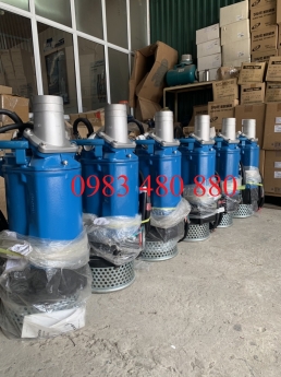 Zalo/Call: 0983.480.880 *Báo giá máy bơm chìm hố móng Tsurumi KTZ 422*