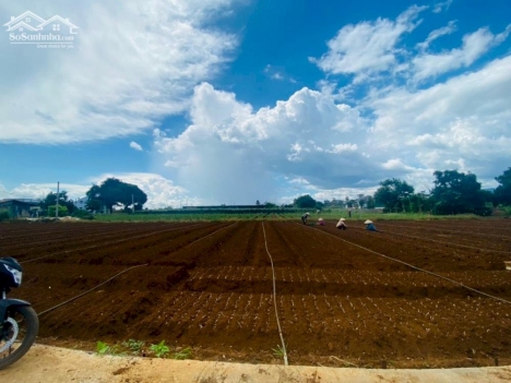 Bán lô đất 5x25m sẵn thổ cư TT. Liên Nghĩa, Đức Trọng, Lâm Đồng giá 830 triệu