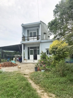 Đất Mẫu CLN Xã Hàm Chính - Hàm Thuận Bắc - Tỉnh Bình Thuận - 19.800m2