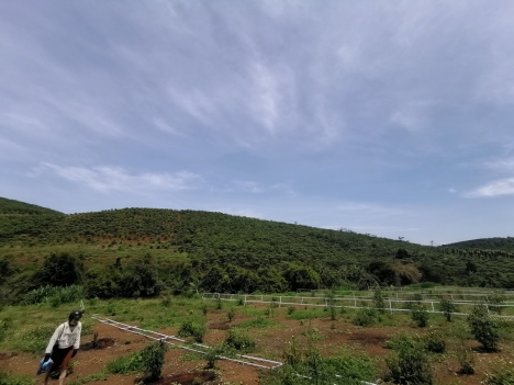 Sở Hữu 500M2 Đất Homestay-Nghỉ Dưỡng View Suối Săn Mây Nguyễn Văn Cừ