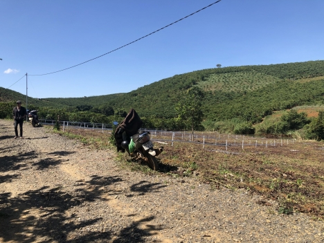 Sở Hữu 500M2 Đất Homestay-Nghỉ Dưỡng View Suối Săn Mây Nguyễn Văn Cừ