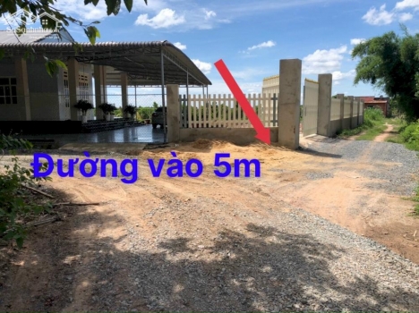 Đất 5x25 thổ cư hết đất giá đúng 355 triệu