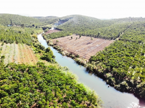 Sở Hữu 500M2 Đất Homestay-Nghỉ Dưỡng View Suối Săn Mây Nguyễn Văn Cừ