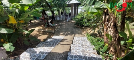 Bán biệt thự, Phường Bửu Hoà, đường xe hơi, an ninh tốt, diện tích 1100m2
