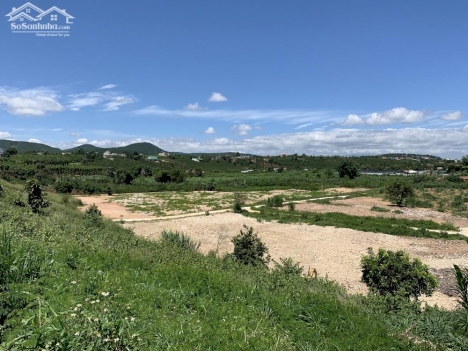 Bán đất thổ cư Đông Thanh - Lâm Hà sổ riêng chỉ 395tr/ nền