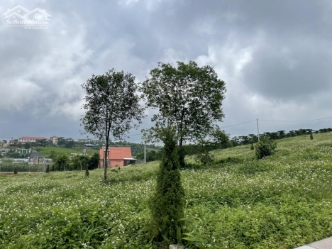 đất thổ cư Lộc An giá rẻ nhất khu vực Bảo Lộc