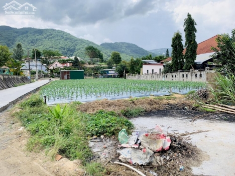 Thanh lý nhanh chỉ 500tr/ 164m2 lô góc ngay trung tâm Châu Sơn - Lạc Xuân - Đơn Dương