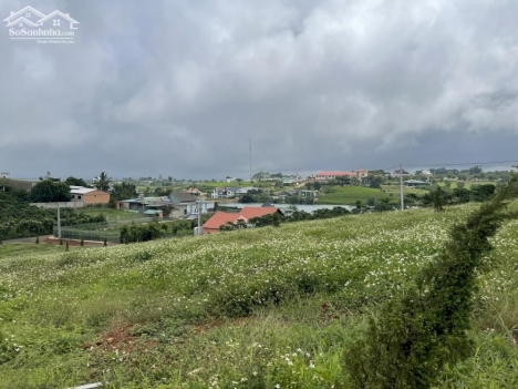 bán gấp mảnh đất nghỉ dưỡng giá ngộp thuộc thị trấn Lộc An