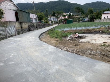 Thanh lý nhanh chỉ 500tr/ 164m2 lô góc ngay trung tâm Châu Sơn - Lạc Xuân - Đơn Dương