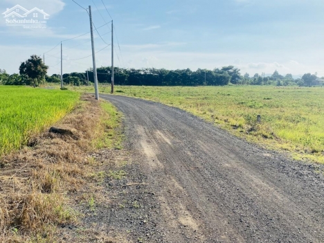 ĐẤT SÀO LONG TÂN GIÁ RẺ