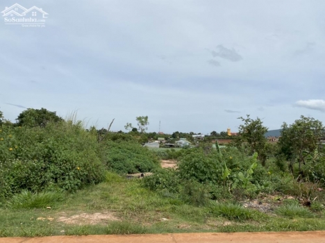 chính chủ cần tiền bán nhanh lô đất trả nợ