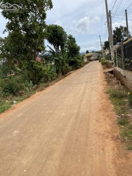 chính chủ cần tiền bán nhanh lô đất trả nợ