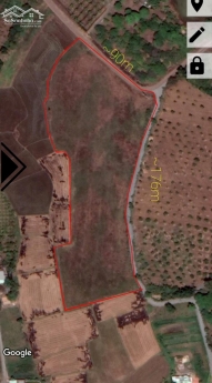 Bán đất xã Long Tân - Đất Đỏ.BR-VT - Diện tích : 1000m2 ngang 21m nở Hậu - Đất trồng cây lâu năm  Mặ