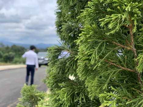 Đất mặt tiền đường nhựa diện tích 200m2 giá 800tr