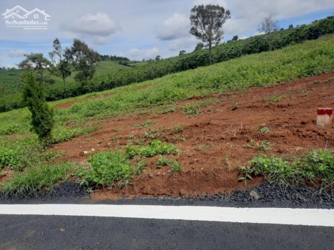 Chính chủ bán gấp 650m2, chỉ 1,2 tỷ đường Nguyễn Thái Bình, P.Lộc Phát, TP Bảo Lộc.