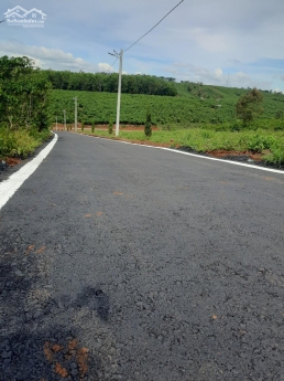 Chính chủ bán gấp 650m2, chỉ 1,2 tỷ đường Nguyễn Thái Bình, P.Lộc Phát, TP Bảo Lộc.