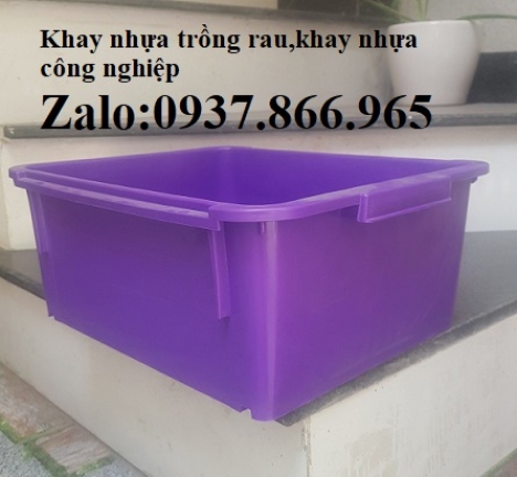 Khay nhựa phân loại dụng cụ cơ khí, khay nhựa A3, thùng nhựa đặc, khay nhua A4
