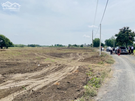 ĐẤT SÀO LONG TÂN - ĐẤT ĐỎ - BRVT DIỆN TÍCH 1000m2