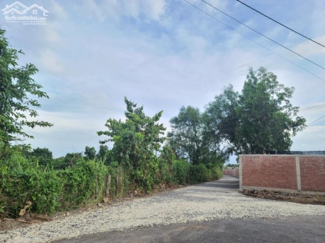 Bán đất xã Long Tân - Đất Đỏ.BR-VT - Diện tích : 1000m2 ngang 21m nở Hậu - Đất trồng cây lâu năm  Mặ