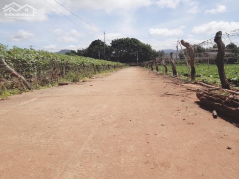 bán nhanh lô đất tổ 34  tt liên nghĩa