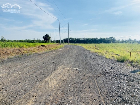 ĐẤT SÀO LONG TÂN GIÁ RẺ