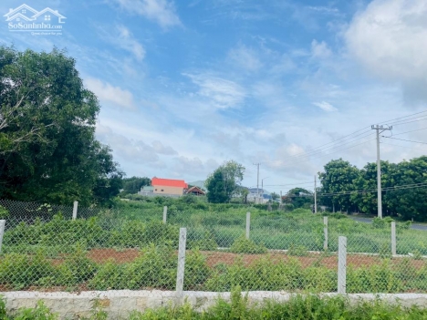 Bán lô đất mặt tiền nhựa 36m Nguyễn Tất Thành - Phước Hội - Đất Đỏ - BRVT