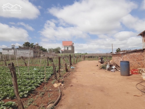 bán nhanh lô đất tổ 34  tt liên nghĩa