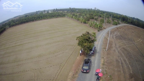 ĐẤT SÀO LONG TÂN - ĐẤT ĐỎ - BRVT DIỆN TÍCH 1000m2